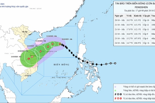 Chủ động ứng phó với mưa lớn, lũ, ngập lụt, sạt lở đất, lũ quét
