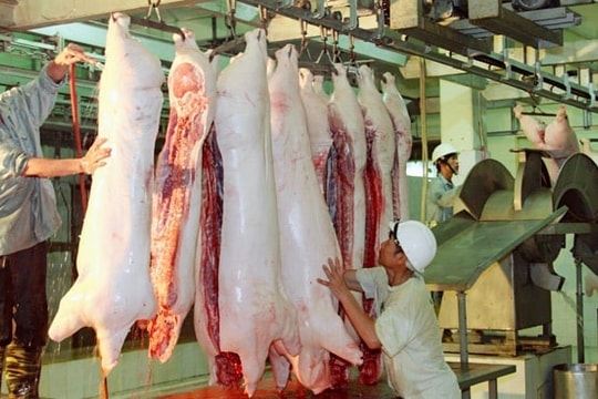 Hà Nội: Sẽ xử lý dứt điểm cơ sở giết mổ gia súc, gia cầm nhỏ lẻ, tự phát