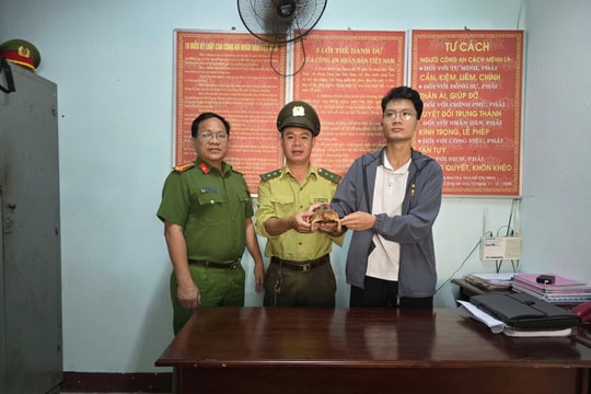 Đà Nẵng: Người dân phát hiện, giao nộp cá thể rùa quý hiếm