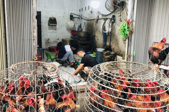 Hà Nội Xử lý nghiêm hoạt động vận chuyển, buôn bán động vật không đúng quy định
