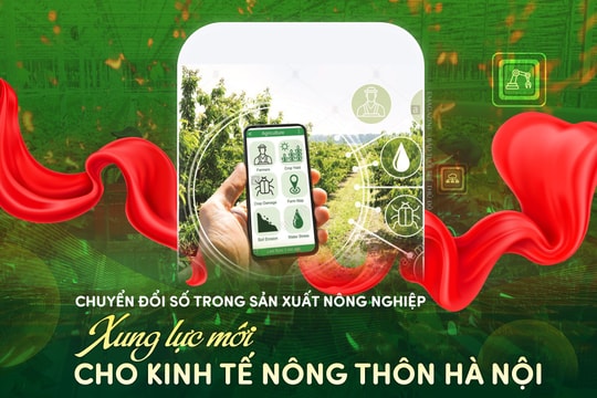 Chuyển đổi số trong sản xuất nông nghiệp Xung lực mới cho kinh tế nông thôn Thủ đô