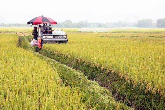 “Chìa khóa” của nông nghiệp phát thải thấp