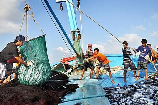 Tháng cao điểm chống khai thác hải sản bất hợp pháp