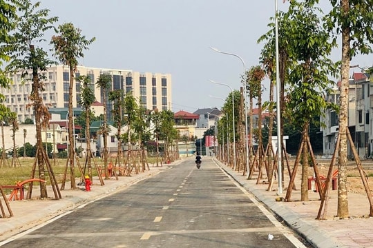 Phúc Thọ: Đầu tư xây dựng khu nhà ở thấp tầng tại khu Đồng Cá