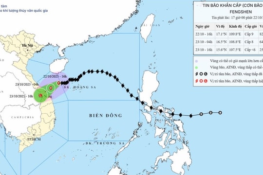 Thủ tướng chỉ đạo tập trung ứng phó mưa lũ, lũ quét, sạt lở đất