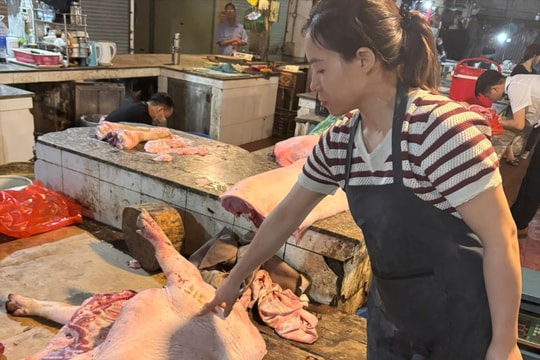 Hà Nội: Khởi tố 3 đối tượng mua, bán lợn dịch bệnh làm thực phẩm với số lượng lớn