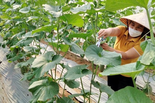 Đẩy mạnh chuyển đổi số, minh bạch nguồn gốc hướng tới nền nông nghiệp an toàn, bền vững