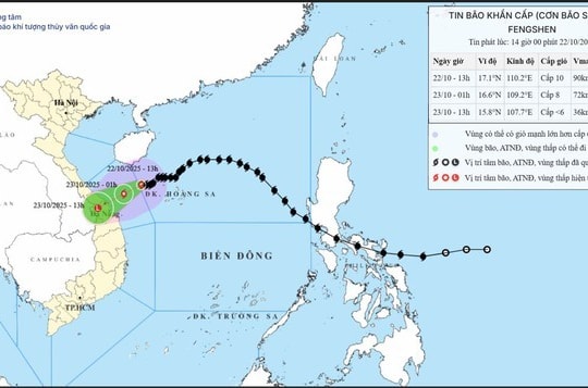 Bão Số 12 cách Đà Nẵng 230km, cảnh báo lũ quét và ngập lụt