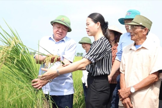 Hướng tới nền nông nghiệp xanh, tuần hoàn, trách nhiệm với môi trường