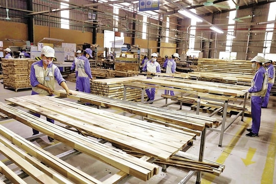 Ngành gỗ TP Hồ Chí Minh định vị thành trung tâm sản xuất, xuất khẩu của thế giới