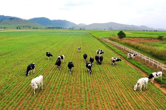 Chung tay giảm phát thải mê-tan vì tương lai xanh