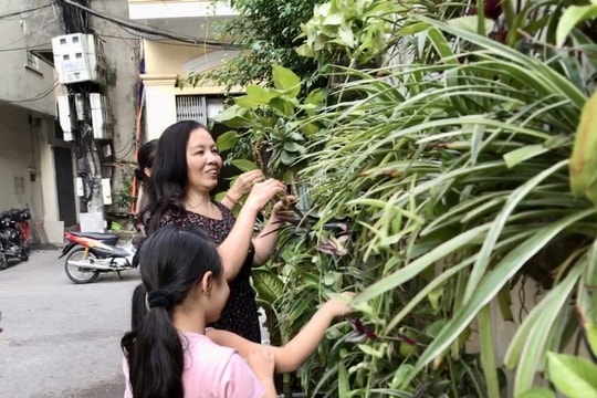 Hướng về Đại hội XIV của Đảng: Ý kiến đóng góp tâm huyết từ cán bộ cơ sở
