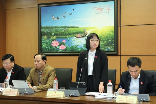 Đại biểu Quốc hội đề nghị nghiên cứu cơ chế về Quỹ phát triển báo chí