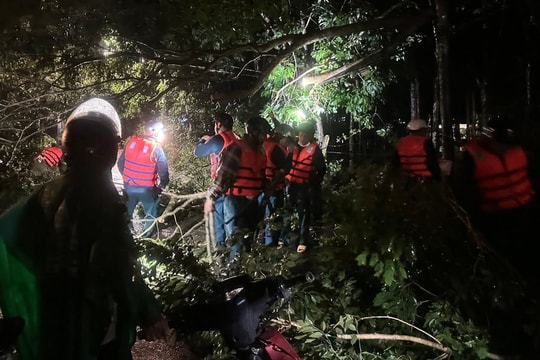 TP Hồ Chí Minh: Bộ đội giúp dân ứng phó triều cường kỷ lục