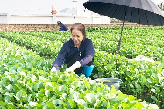 Xây dựng người nông dân Thủ đô thời kỳ mới