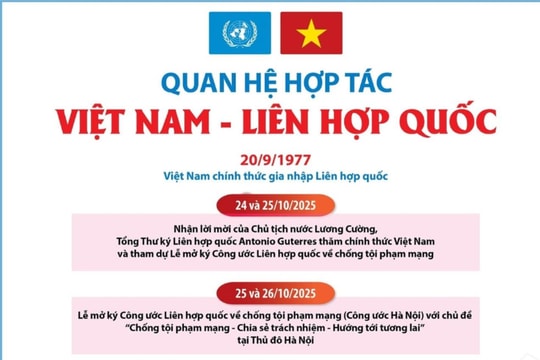Quan hệ hợp tác Việt Nam - Liên hợp quốc