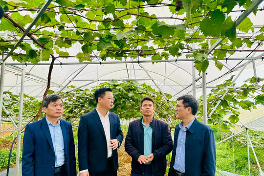 Tăng tốc giải ngân vốn đầu tư phát triển vùng dân tộc xã Yên Xuân