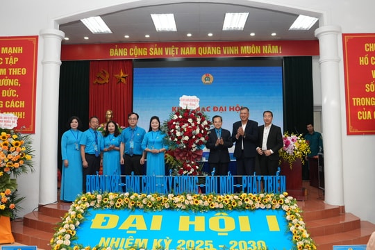 Phấn đấu 100% đoàn viên khó khăn được chăm lo, bảo vệ