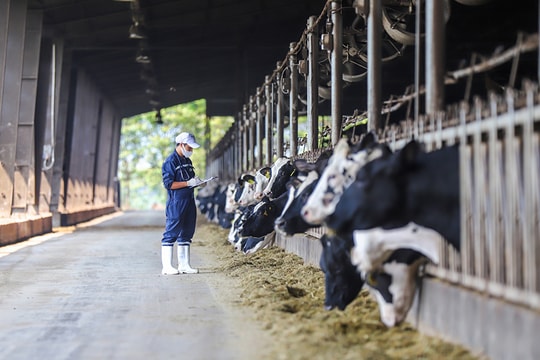 Khoa học, công nghệ và đổi mới sáng tạo: Động lực trung tâm của chuyển đổi xanh