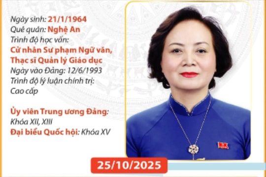 Chân dung tân Phó Thủ tướng Chính phủ Phạm Thị Thanh Trà