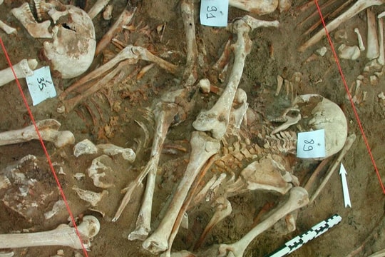 DNA hé lộ nguyên nhân bất ngờ khiến quân đội của Napoleon diệt vong