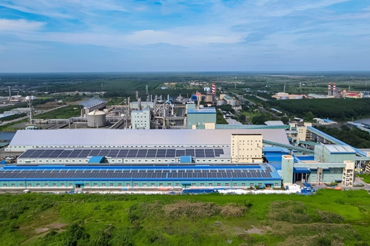 Doanh nghiệp cùng Cà Mau kiến tạo động lực phát triển mới