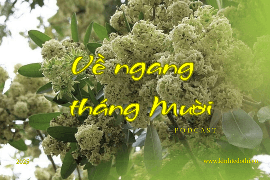 Podcast Tản văn: Về ngang tháng Mười