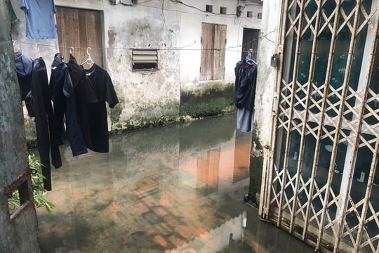 Cần sớm có kế hoạch cải tạo