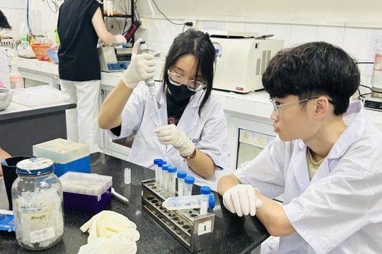 Đổi mới sáng tạo - dấu ấn người trẻ trong kỷ nguyên số Bài 2: Biến phòng học thành “vườn ươm” của những ý tưởng sáng tạo