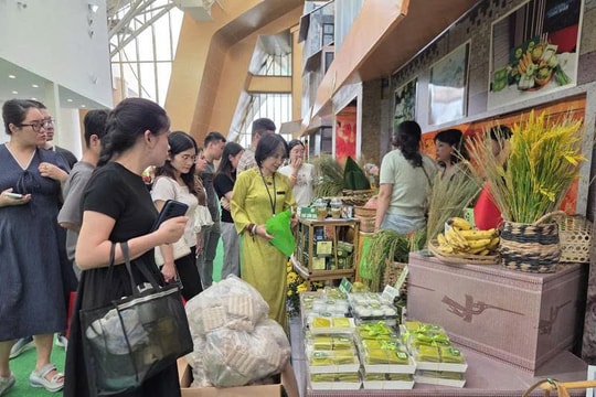 Thị trường bán lẻ Việt Nam đang chuyển đổi lớn