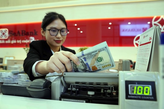 Lợi nhuận "bứt phá", SeABank cán mốc 6.739 tỷ đồng chỉ sau 9 tháng