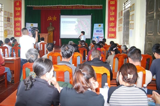 Tỉnh Lâm Đồng Canh tác cà phê thông minh giảm phát thải khí mê-tan