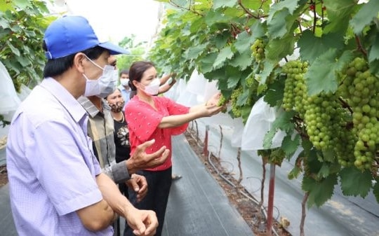 Quy định mới nhất về tổ chức hệ thống khuyến nông các cấp