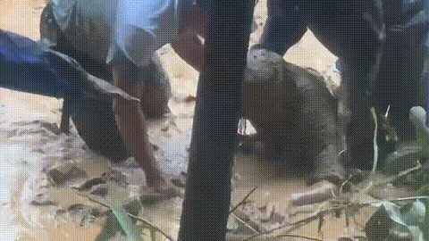 Đà Nẵng