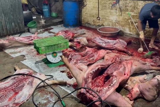 Hồi chuông cảnh báo “từ lò mổ đến bàn ăn”