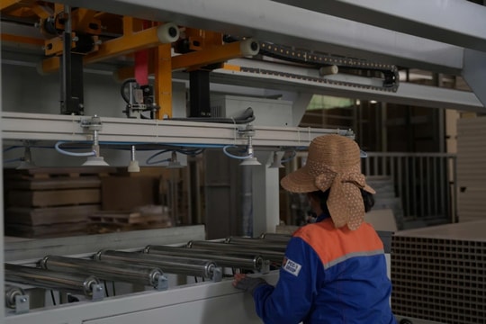 Sản xuất gỗ nhựa composite mở ra hướng đi mới cho ngành tái chế nhựa ở Việt Nam