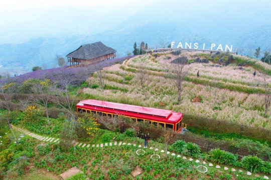 Du khách Tây thích thú săn mây, check in hoa Sen đá trên đỉnh Fansipan	