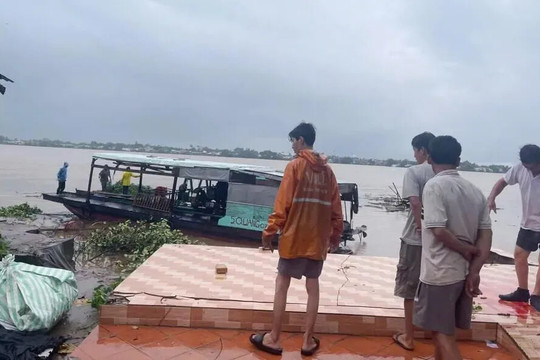 Đồng Tháp: sạt lở làm sụp 4 căn nhà xuống sông