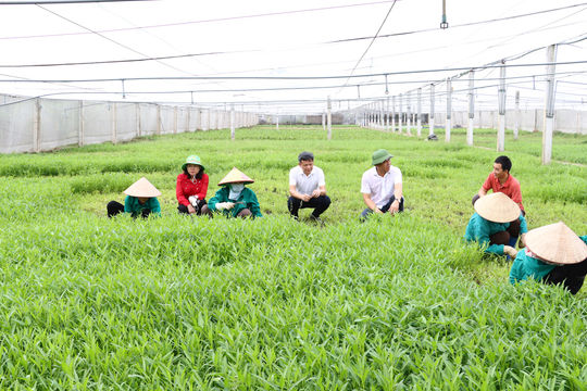 Chủ tịch UBND thành phố Hà Nội sẽ đối thoại với nông dân về phát triển "nông nghiệp xanh"