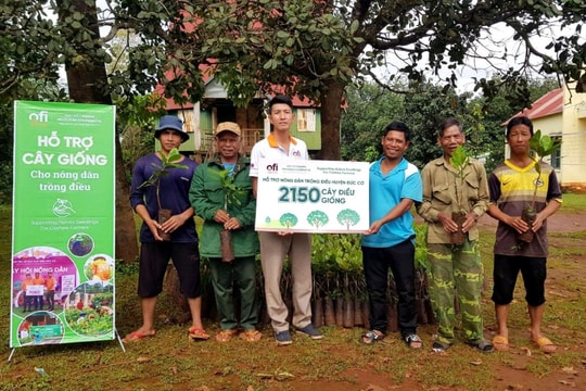 Ofi Việt Nam được vinh danh nhờ thúc đẩy ngành điều phát triển bền vững