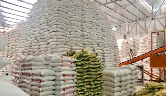 Xuất cấp 300 tấn gạo và thiết bị cứu sinh cho Huế