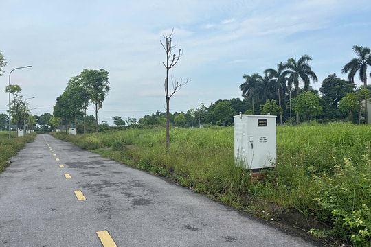 Gỡ vướng giao đất dịch vụ tại thôn Ngô Sài (xã Quốc Oai)