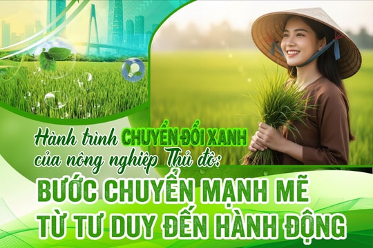 Hành trình chuyển đổi xanh của nông nghiệp Thủ đô: Bước chuyển mạnh mẽ từ tư duy đến hành động
