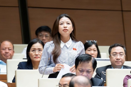 Cần xây dựng bộ tiêu chí kiểm định năng lực tư vấn tâm lý học đường