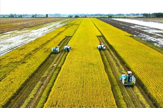 “Nông nghiệp là lợi thế quốc gia” cần được cam kết chính trị, hành động cụ thể