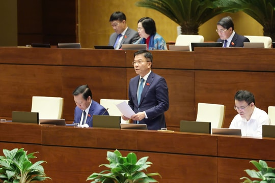 Thu từ thương mại điện tử năm 2025 đạt khoảng 172 nghìn tỷ đồng