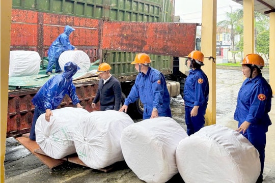 Xuất cấp hỗ trợ tỉnh Tuyên Quang hơn 700 tấn gạo và hỗ trợ tỉnh Quảng Ngãi thiết bị cứu sinh