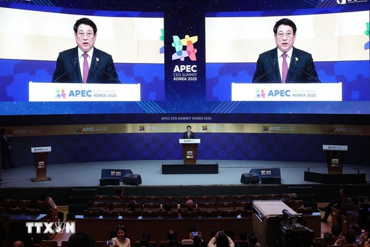 Chủ tịch nước Lương Cường: Việt Nam mang đến cho các doanh nghiệp sự ổn định, an toàn và cơ hội thành công bền vững