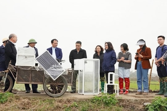 Phát triển nông nghiệp thông minh công nghệ AI giảm phát thải khí mê-tan
