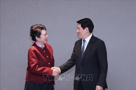 Tuần lễ Cấp cao APEC 2025: Chủ tịch nước Lương Cường tiếp Nhà sáng lập Tập đoàn MEBO International